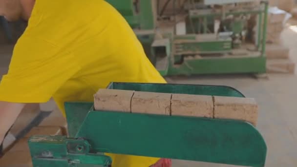 The production of compressed sawdust fuel. The process of creating fuel briquettes. — Stock Video