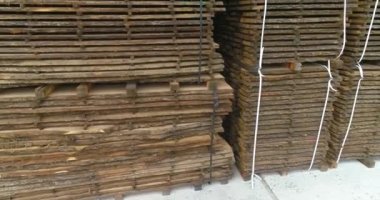 Ahşap fabrikasındaki özel bir bölmede buğulanmış odunları kurutmak. Ahşap kurutmak için modern ekipman