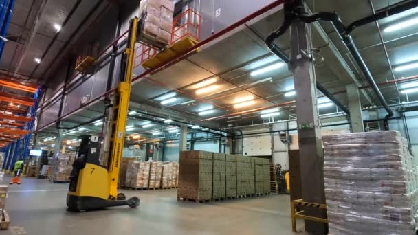 Special equipment in the warehouse of the factory. Modern loaders in a large warehouse. Warehouse work. Workflow in a large warehouse — Stock Video