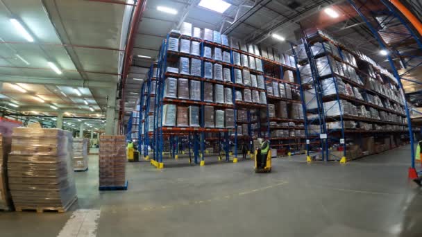 Trabajo en el almacén. Flujo de trabajo en un almacén grande. Equipo especial en el almacén de la fábrica. Cargadoras modernas en un gran almacén. — Vídeos de Stock