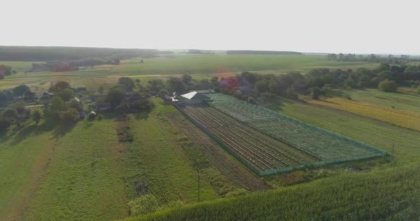 Vuela sobre un pequeño aire en el campo. Pequeña granja en el campo al atardecer. Agricultura vista aérea. Granja desde el aire — Vídeos de Stock
