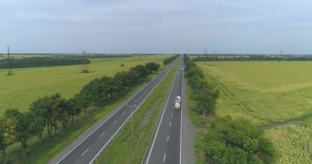 Camion sulla vista dell'autostrada dal drone. Camion cavalca sulla moderna autostrada intorno erba verde vista dall'alto — Video Stock