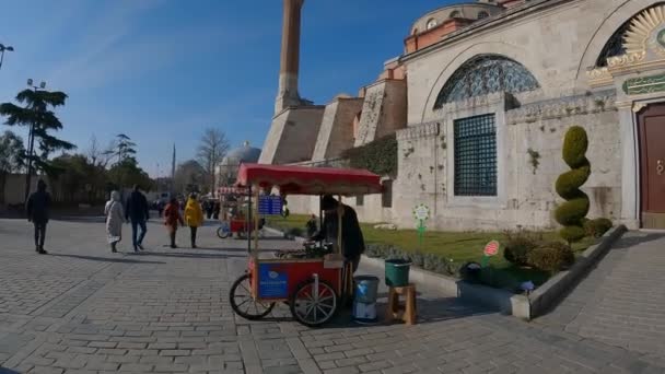 Жареные каштаны istanbul. Человек, жарящий каштаны на улицах Стамбула — стоковое видео