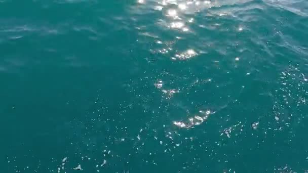 太陽は水に反射される。波は太陽を反射する — ストック動画