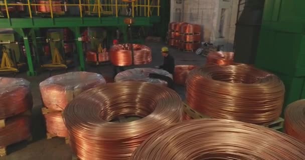 Préparer un fil de cuivre, babouins avec un fil de cuivre dans une usine, un câble de cuivre blanc — Video