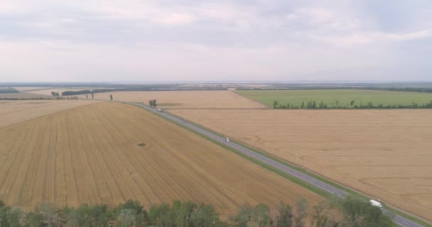 Une autoroute avec des voitures à côté d'un champ de blé coloré. Survoler un champ de blé à côté de la route. Champ de blé à côté de la route vue aérienne. — Video