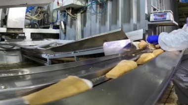 Dondurma fabrikası. Modern otomatikleştirilmiş dondurma üretim hattı. Dondurma üretim hattı