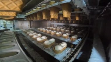 Modern otomatikleştirilmiş dondurma üretim hattı. Dondurma fabrikası. Dondurma üretim hattı