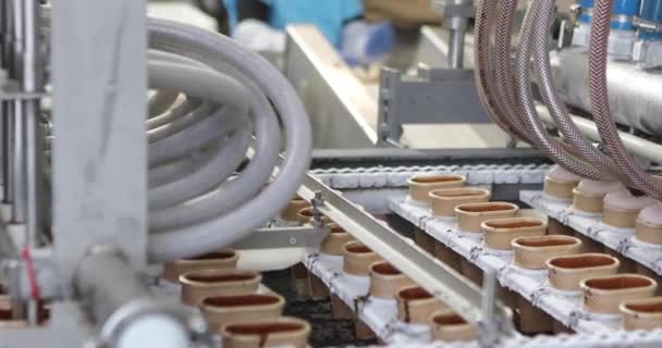 Linea di produzione automatizzata di gelati. Produzione di gelato. Produzione automatizzata di gelato. — Video Stock