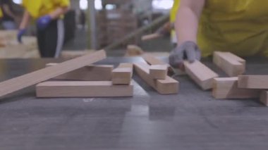 Mobilya fabrikasının taşıyıcı hattındaki işçiler. İşçiler bir mobilya fabrikasında ahşap blokları düzenlerler. Bir mobilya fabrikasında ahşap kurusıkı tasnif