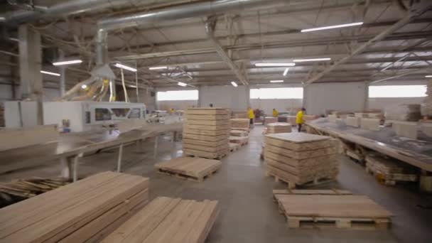 Pedaços de madeira processada bem dobrados. Dentro da oficina de marcenaria. Processo de trabalho em uma fábrica de madeira — Vídeo de Stock