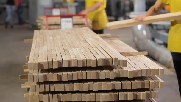 Sok fadarab halmozódott fel. Raktár négyzet alakú feldolgozott fa bároknak. Rácsok előkészítése bútorlapok készítéséhez. — Stock videók