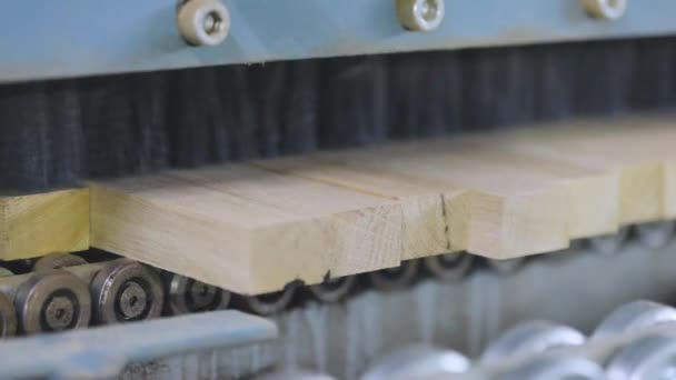 Обработка деревянных заготовок на конвейерной линии. Автоматизированная производственная линия в современном производстве — стоковое видео
