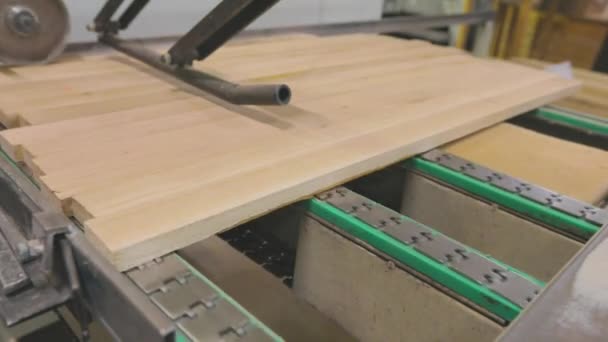 Traitement des ébauches de bois sur une ligne de convoyeur. Ligne de production automatisée dans la production moderne — Video