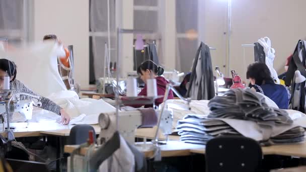 Proceso de trabajo en el taller de una fábrica de ropa. Trabajo en una fábrica de costura. Las costureras trabajan en una fábrica textil — Vídeo de stock