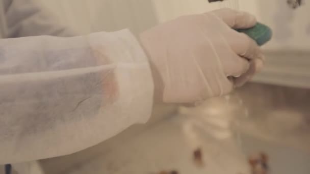 化粧品のためのムチンの抽出。ムチン抽出前にカタツムリを洗う.カタツムリの養殖場でのムチンの抽出. — ストック動画