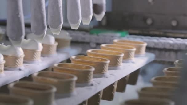 Automatisierte Produktion von Speiseeis. Eiscremeproduktion. Eisdielen — Stockvideo