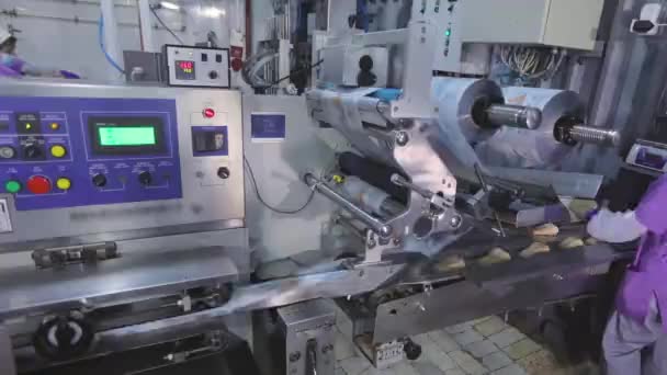 Moderna fábrica de helados. Línea de envasado automático en una fábrica de helados. Proceso de fabricación de helado — Vídeo de stock