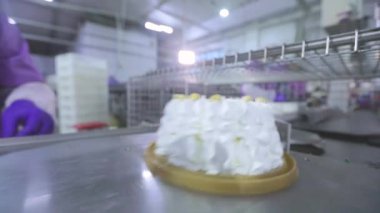 Büyük otomatikleştirilmiş kek üretimi. Dondurmalı pasta yapıyorum. Taşıyıcı banttaki kekler. Gıda üretimi