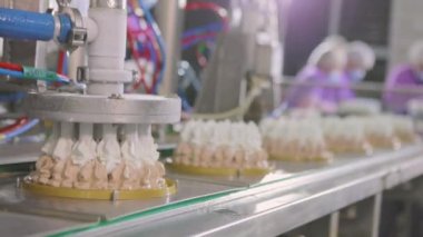 Otomatik dondurma üretimi. Dondurmalı pasta yapmak için otomatik taşıyıcı. Dondurma tüplerden güzelce çıkarılmış.