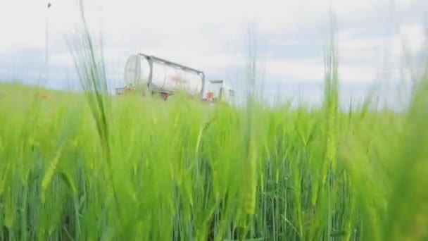 Ein Lastwagen mit Tankwagen steht in der Nähe eines grünen Weizenfeldes. Umweltfreundlicher Verkehr. Elektro-LKW transportieren gefährliche Güter. Grüner Weizen, Flüssiglaster im Hintergrund. — Stockvideo
