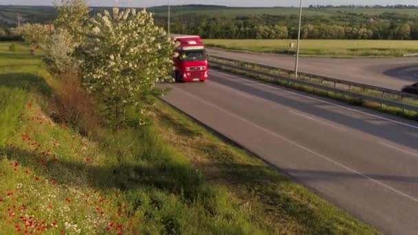 По дороге растут красные маки, по дороге проезжает грузовик. Дорога рядом с цветущими маками на закате — стоковое видео