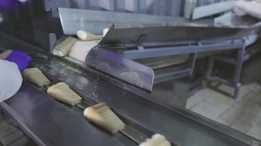 Dondurma üretimi için modern bir taşıyıcı. Dondurma üretim hattı. Dondurma üretim süreci