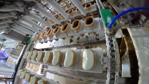 Um transportador moderno para a produção de sorvete. Linha de produção de sorvete. Processo de produção de gelados — Vídeo de Stock