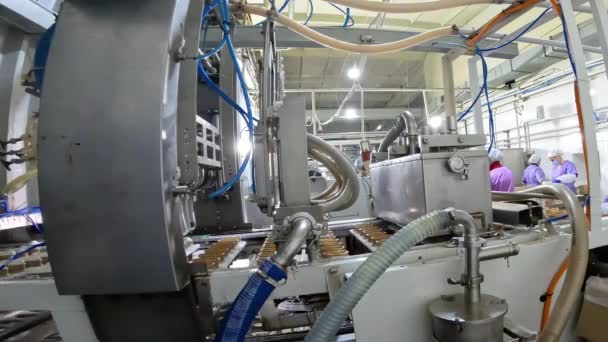 The process of making ice cream. Production of ice cream on an automated conveyor. Ice cream production — Stock Video