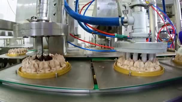 Автоматизированное производство мороженого. Автоматический конвейер для создания торта с мороженым. Мороженое, красиво выжатое из трубок — стоковое видео