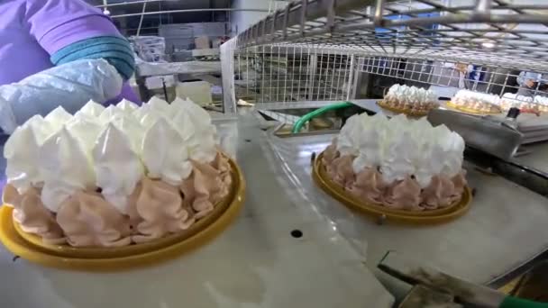 Pastel en una línea transportadora automatizada. El proceso de creación de un pastel en una línea transportadora. Fábrica de confitería moderna. — Vídeos de Stock