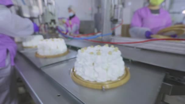 Taart op de transportband. Taartproductie. Productie van taarten in een moderne fabriek. Het proces van het automatisch maken van gebak — Stockvideo