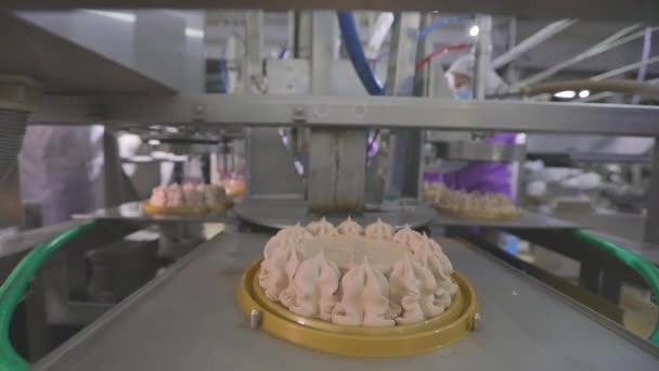 Kuchen auf dem Band. Kuchenproduktion. Produktion von Kuchen in einer modernen Fabrik. Der Prozess der automatischen Herstellung von Kuchen — Stockvideo