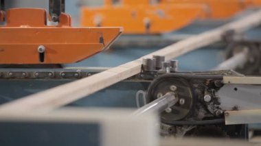 Taşıyıcı hat üzerinde ahşap boşlukları işliyor. Modern üretimde otomatikleştirilmiş üretim hattı