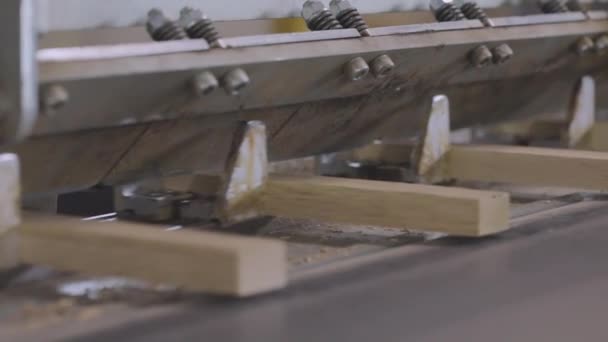 Linea di produzione automatizzata in una fabbrica di mobili. Processo di produzione di pannelli per mobili. Nastro trasportatore automatizzato in una fabbrica di mobili — Video Stock