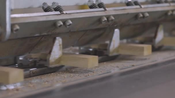De machine spreidt lijm uit op de rand van het houten blok. Geautomatiseerde productielijn in een meubelfabriek — Stockvideo