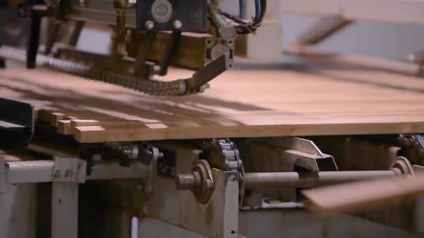 Modern automatiserad linje inom möbelindustrin. Automatiseringslinje för tillverkning av möbelskivor. Modern möbelfabrik — Stockvideo
