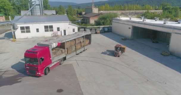 Vrachtwagen geladen met hout in een houtbewerkingsfabriek. Lokalen voor het gedwongen drogen van hout. Vervoer van hout. Moderne droogkamers in een houtbewerkingsfabriek. Industriële buitenkant — Stockvideo