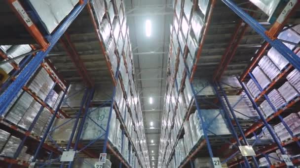 Groot magazijn in de fabriek. Hoge planken in magazijn Moderne magazijn. industrieel interieur — Stockvideo