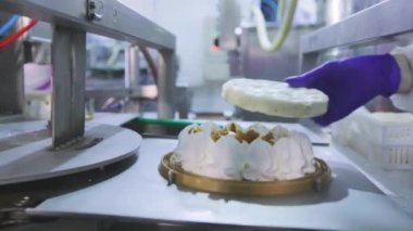 Taşıyıcı banttaki kekler. Büyük otomatikleştirilmiş kek üretimi. Dondurmalı pasta yapıyorum. Gıda üretimi