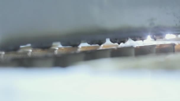 Produkcja lodów. Produkcja lodów na zautomatyzowanym przenośniku. — Wideo stockowe
