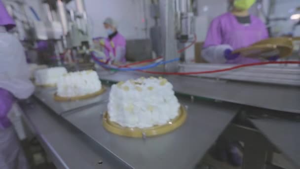 Παραγωγή κέικ. Παραγωγή κέικ σε σύγχρονο εργοστάσιο. Τούρτα στον ιμάντα μεταφοράς. Η διαδικασία της αυτόματης δημιουργίας των κέικ — Αρχείο Βίντεο