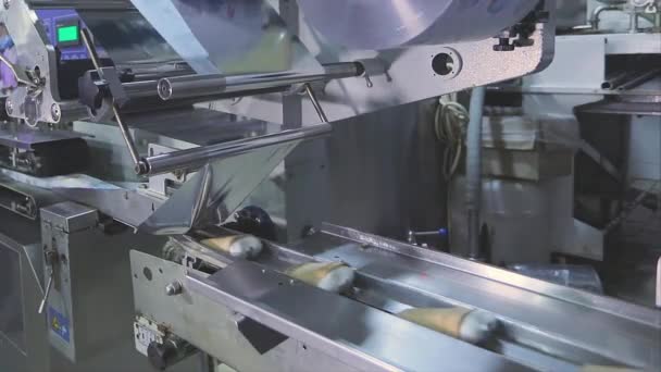 Moderne ijsfabriek. Automatische verpakkingslijn in een ijsfabriek. IJsbereidingsproces — Stockvideo