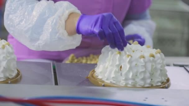 Mensen werken in een snoepfabriek. Winkel voor de productie van taarten. Taarten bakken. Suikerfabriek — Stockvideo