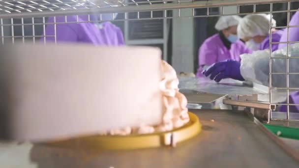 Kuchenproduktion. Produktion von Kuchen in einer modernen Fabrik. Kuchen auf dem Band. Der Prozess der automatischen Herstellung von Kuchen — Stockvideo