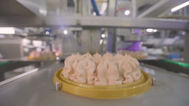 Automatisches Förderband zur Herstellung von Speiseeis. Eisfabrik. Der Prozess der Herstellung von Eis. Moderne Eisfabrik. — Stockvideo