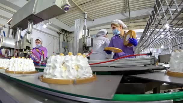 菓子工場で働く人たち。ケーキの生産のための店。ケーキを作る。菓子工場 — ストック動画