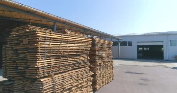 Secado Madera Exterior. Secado de Madera Naturalmente. la eliminación del agua de la madera con el sol y el viento. Secado de madera al aire libre bajo el sol — Vídeo de stock