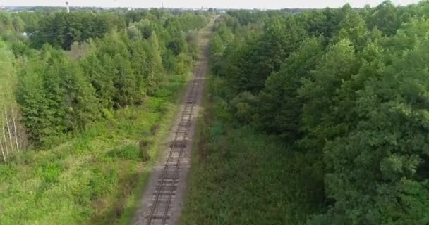 Volare lungo la ferrovia. Ferrovia in una bellissima area forestale — Video Stock