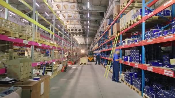 Lidé pracují ve skladišti. Aktivní práce ve skladišti. Pracovní postup továrního skladu — Stock video